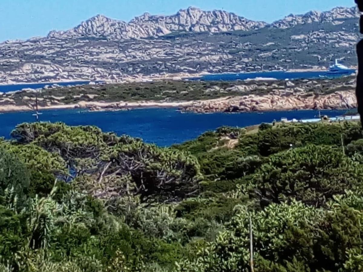 Villa Carlotta La Maddalena La Maddalena  Extérieur photo