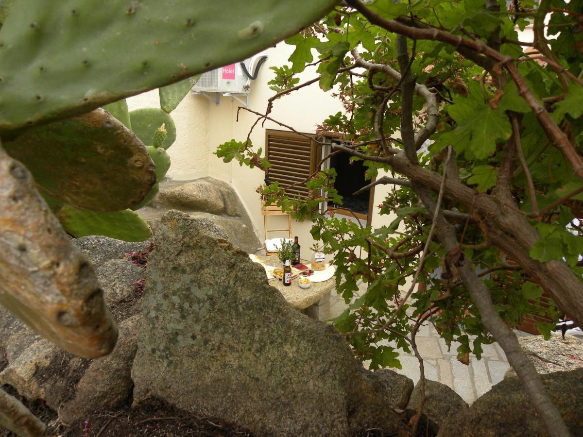 Villa Carlotta La Maddalena La Maddalena  Extérieur photo