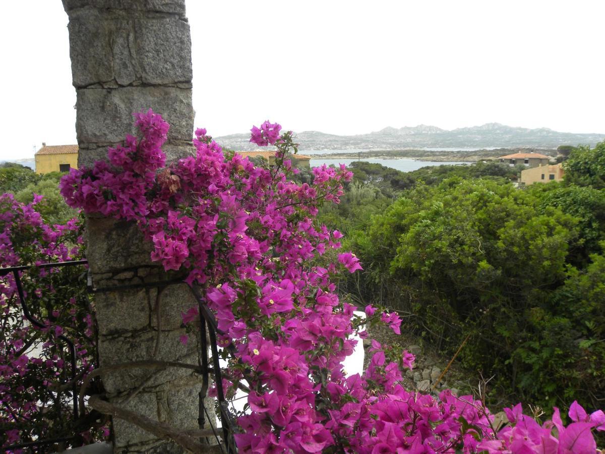 Villa Carlotta La Maddalena La Maddalena  Extérieur photo